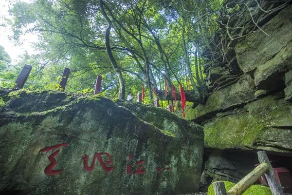 @寧強(qiáng)人，漢江源景區(qū)年卡福利來啦！！插圖15