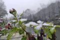 未來(lái)三天陜西省大部以多云到晴天氣為主 陜南南部局地有小雨縮略圖