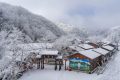 降溫要來了！1月11日—15日陜西多雨雪天氣 陜北降溫8-10 ℃縮略圖