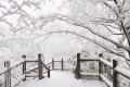 陜西大部雨雪停歇 氣溫一點一點在回升縮略圖