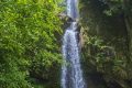 大霧黃色預(yù)警！漢中這些地方能見度低→縮略圖