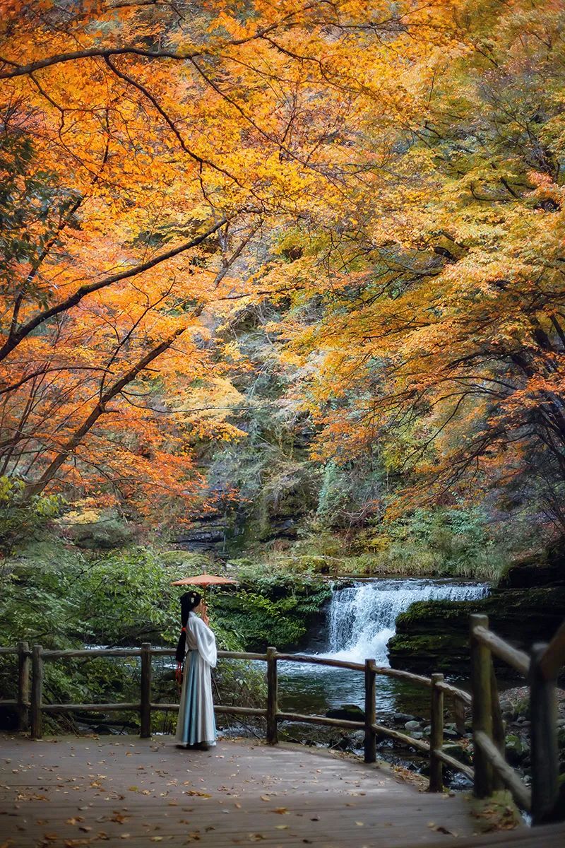 10月1日，漢中黎坪景區(qū)秋高氣爽、景色秀美，還不擁擠，趕緊出發(fā)嘍！