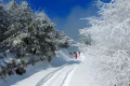 一場浪漫冬雪，讓鎮(zhèn)巴美出圈！縮略圖