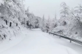 雨夾雪！小雪！小到中雪！漢中氣象發(fā)布黃色預(yù)警信號(hào)→縮略圖