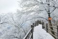 龍頭山今日又下雪啦，每一幀都是“限定浪漫”！縮略圖