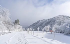 天冷了，吃點啥有助抗寒？縮略圖