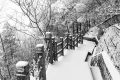 冷?冷?冷?，最低零下 6 ℃ ，漢臺(tái)迎來新一輪降溫降雪，詳情→縮略圖