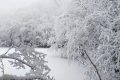 漢江源冰雪季 | 賞雪、嬉雪、看冰瀑，邂逅冬日的浪漫縮略圖