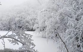 局地積雪可達10cm！冰雪路面如何安全行車？縮略圖