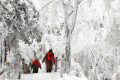 【鬧元宵·賞雪景】一起去漢江源看雪吧！縮略圖