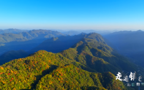 紅葉醉巴山 秋韻滿(mǎn)鎮(zhèn)巴縮略圖