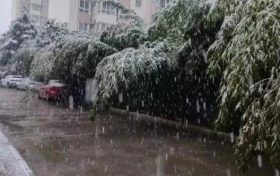 明顯降溫！陜西新一波雨雪即將到來縮略圖